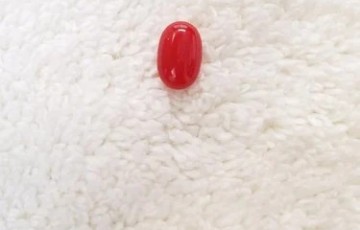 Natural Red Coral Gemstone (Moonga) - 12 Carat ( Rs 1,350 / Carat)